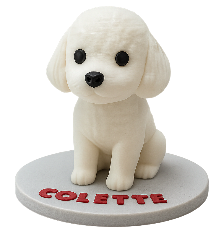 Llavero mascota desde tu foto