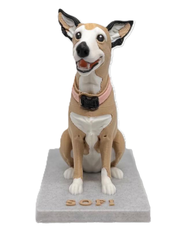 Figura 3D personalizada